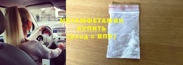 гидра Покачи