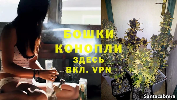 гидра Покачи