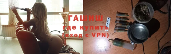 гидра Покачи