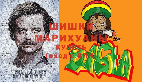 гидра Покачи