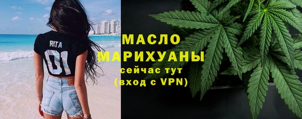гидра Покачи