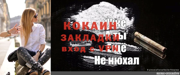 гидра Покачи